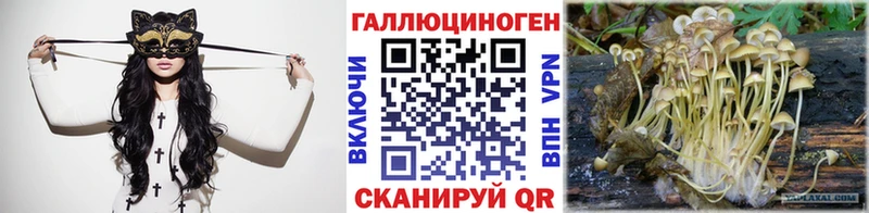 Псилоцибиновые грибы мухоморы  где продают наркотики  Волоколамск 